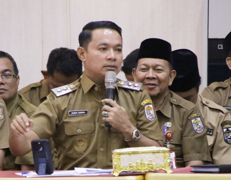 Banjir di Pelalawan, Husni Tamrin Minta Solusi Konkret dari Pemprov Riau