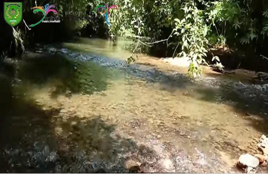 Keindahan Sungai Tersembunyi di Wisata Alam Bukit Pendam