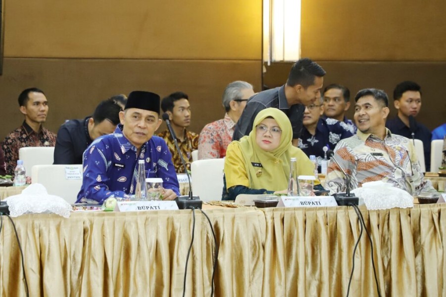 Bupati Inhil Menghadiri Pertemuan Komisi II DPR RI Dengan Pemprov & Pemda Se Prov. Riau