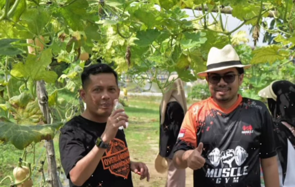 Pimpinan DPRD Azwendi dan Ginda Ikut Panen Sayur Bersama Masyarakat di Kulim Pekanbaru