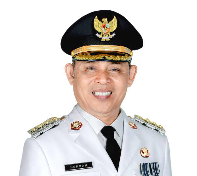 Herman: Dari Birokrat Andal hingga Bupati Indragiri Hilir 2025