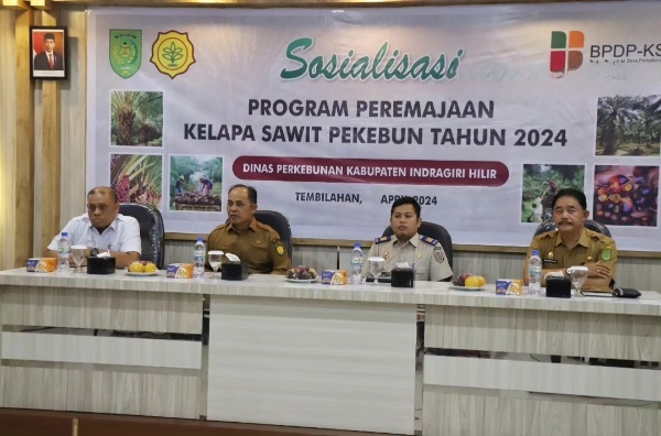 Pj Bupati Inhil Herman Buka Sosialisasi Program PKSP TH 2024