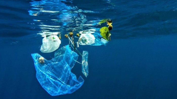Memerangi sampah plastik: kesepakatan global semakin dekat