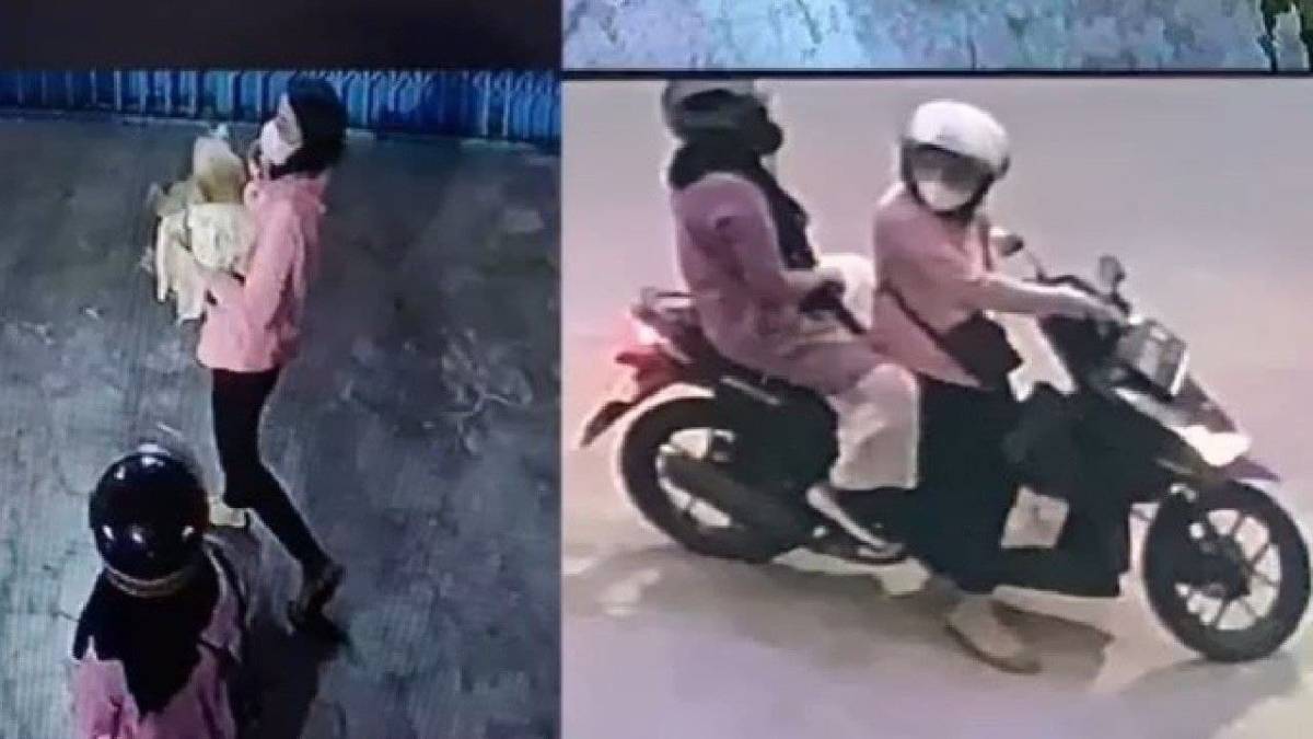 Modus Ajak Main, Dua Wanita di Medan Terekam CCTV Culik Anjing Peliharaan